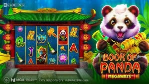 piramid win App piramid win App